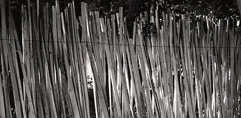 wooden fence ponderosa